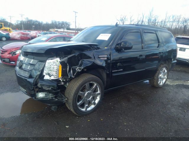 Photo 1 VIN: 1GYS4CEF2ER183524 - CADILLAC ESCALADE 