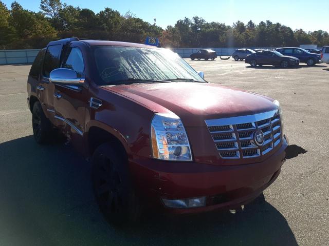 Photo 0 VIN: 1GYS4CEF3BR150575 - CADILLAC ESCALADE P 