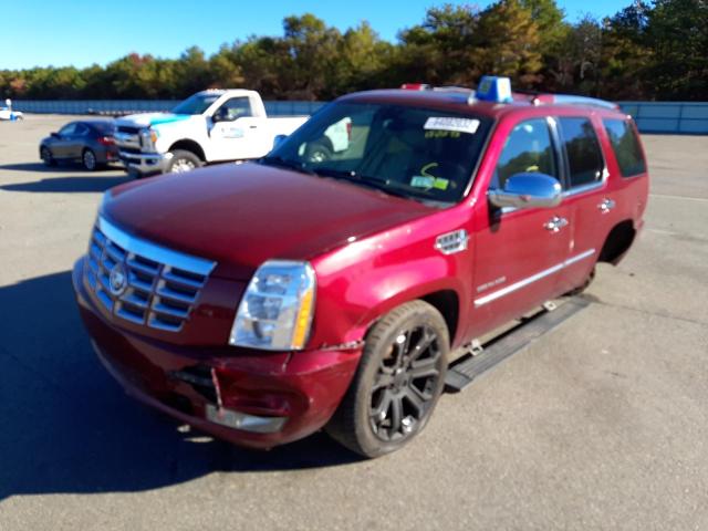 Photo 1 VIN: 1GYS4CEF3BR150575 - CADILLAC ESCALADE P 