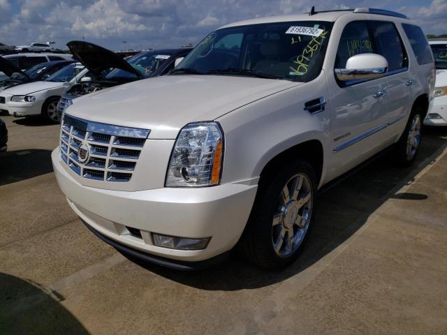 Photo 1 VIN: 1GYS4CEF3BR221029 - CADILLAC ESCALADE P 