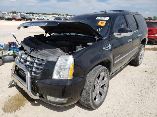 Photo 1 VIN: 1GYS4CEF3BR360397 - CADILLAC ESCALADE P 