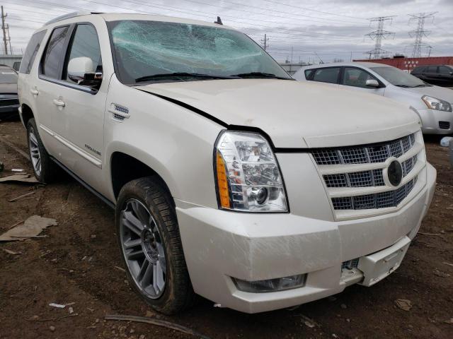 Photo 3 VIN: 1GYS4CEF5CR253997 - CADILLAC ESCALADE P 