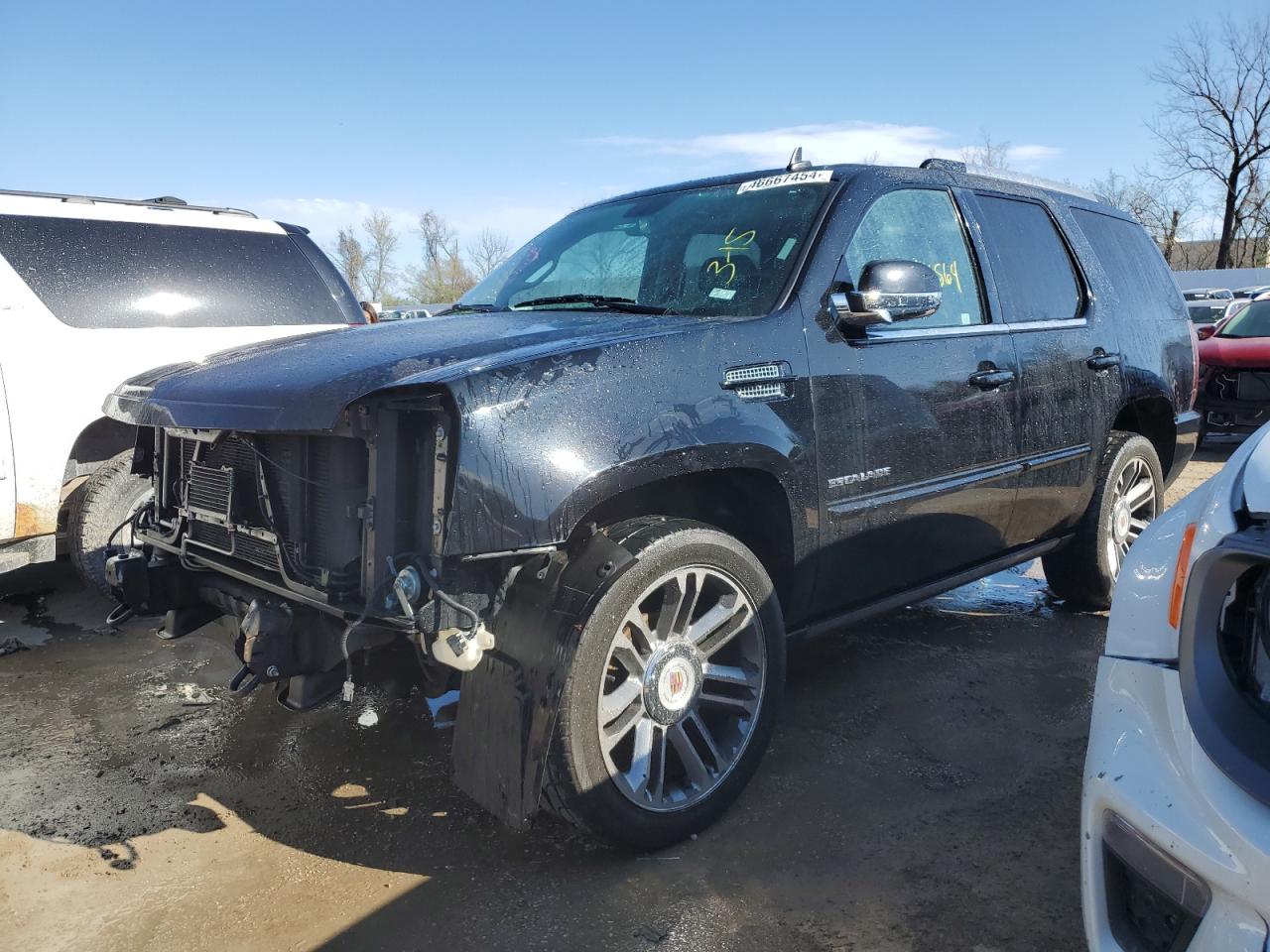 Photo 0 VIN: 1GYS4CEF6CR297149 - CADILLAC ESCALADE 