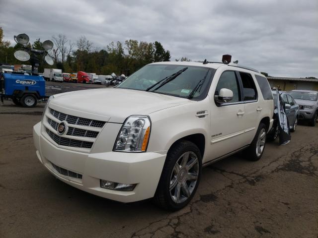 Photo 1 VIN: 1GYS4CEF6DR184836 - CADILLAC ESCALADE P 