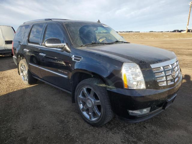 Photo 3 VIN: 1GYS4CEF7BR345983 - CADILLAC ESCALADE 