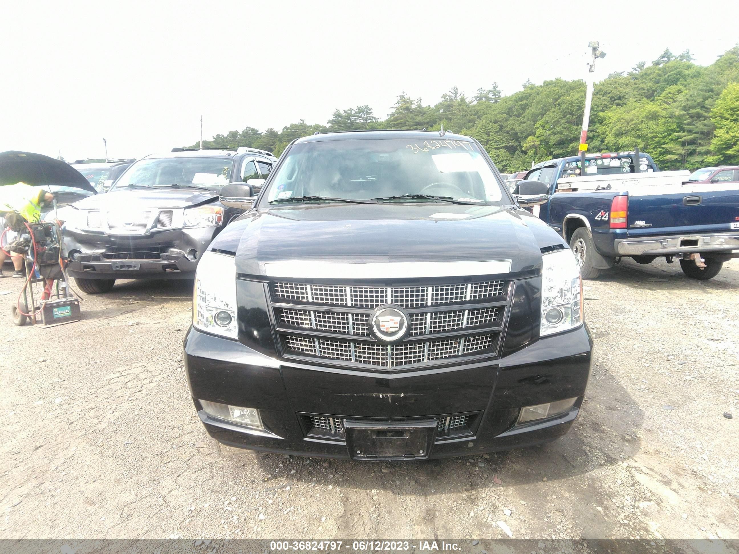 Photo 11 VIN: 1GYS4CEF7ER180618 - CADILLAC ESCALADE 