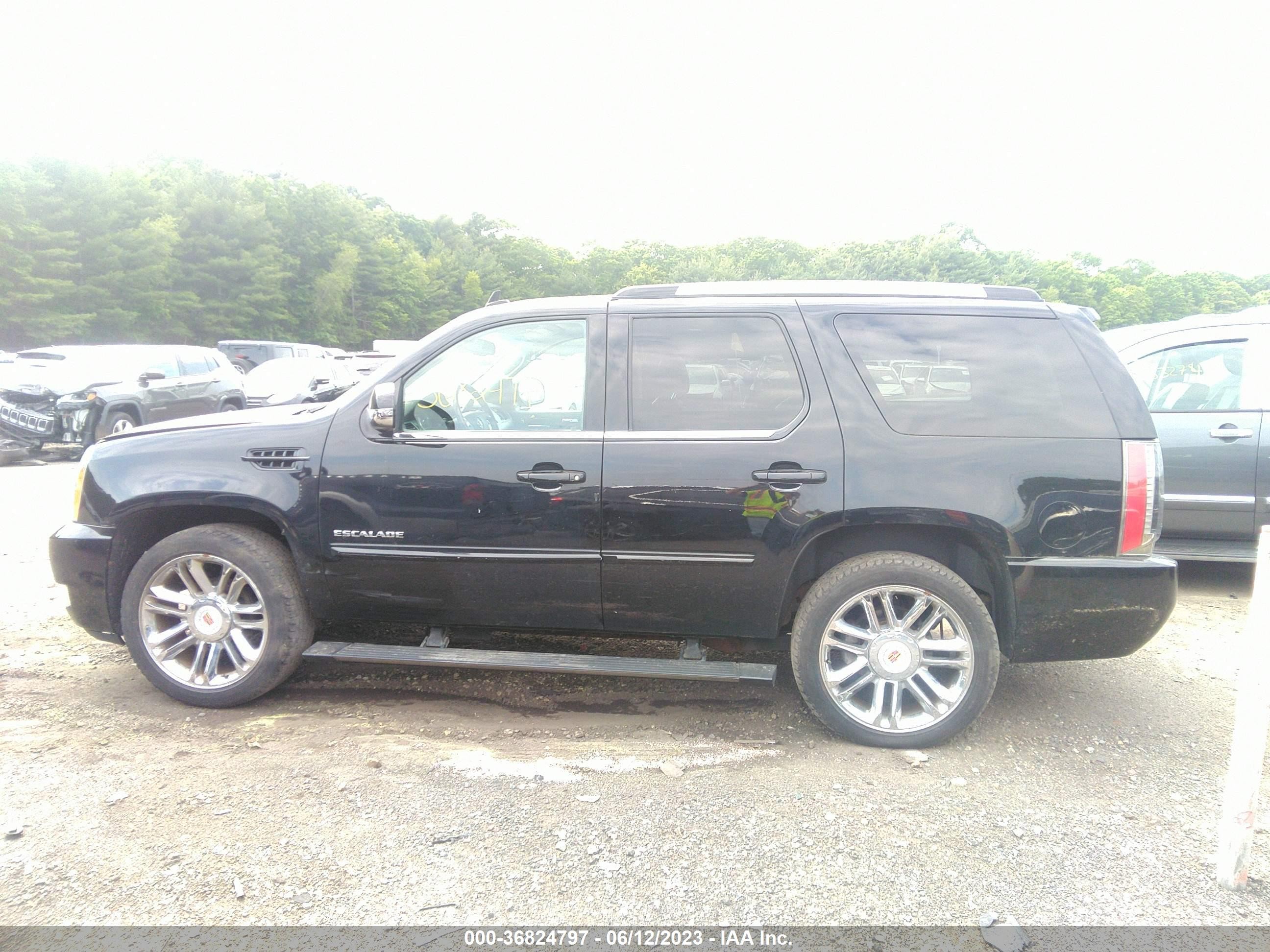 Photo 13 VIN: 1GYS4CEF7ER180618 - CADILLAC ESCALADE 