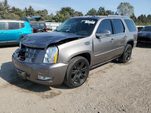 Photo 0 VIN: 1GYS4CEF7ER245497 - CADILLAC ESCALADE P 