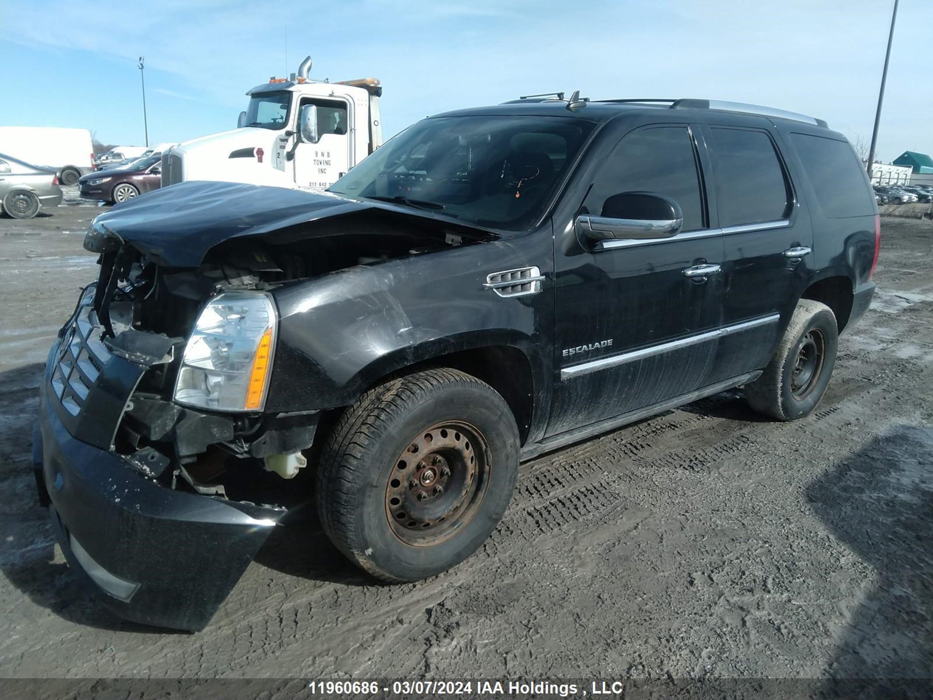 Photo 1 VIN: 1GYS4CEF8BR157070 - CADILLAC ESCALADE 