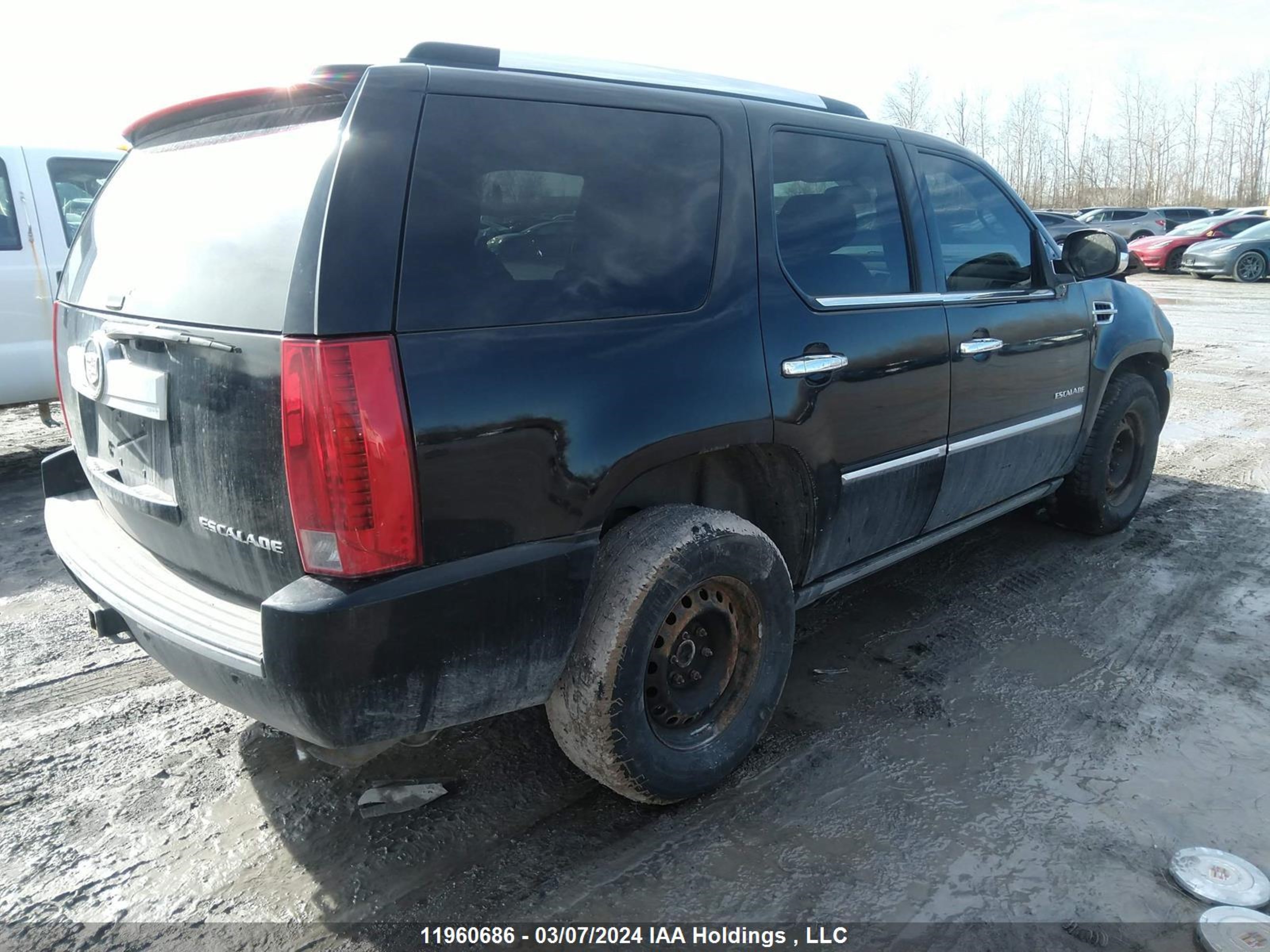 Photo 3 VIN: 1GYS4CEF8BR157070 - CADILLAC ESCALADE 