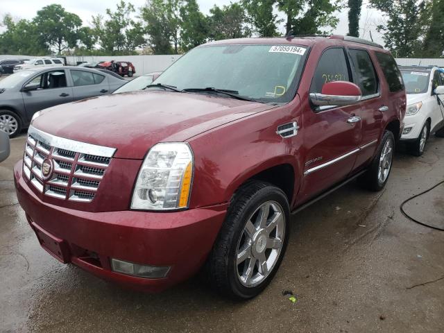 Photo 0 VIN: 1GYS4CEF9BR139435 - CADILLAC ESCALADE P 