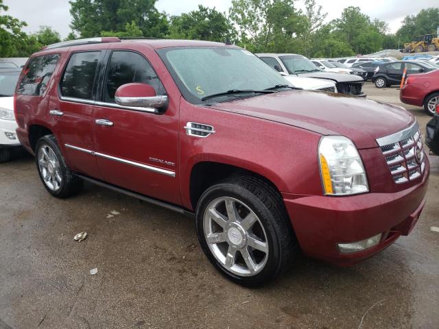 Photo 3 VIN: 1GYS4CEF9BR139435 - CADILLAC ESCALADE P 