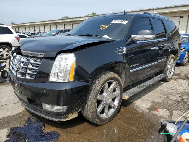 Photo 0 VIN: 1GYS4CEF9BR352630 - CADILLAC ESCALADE P 