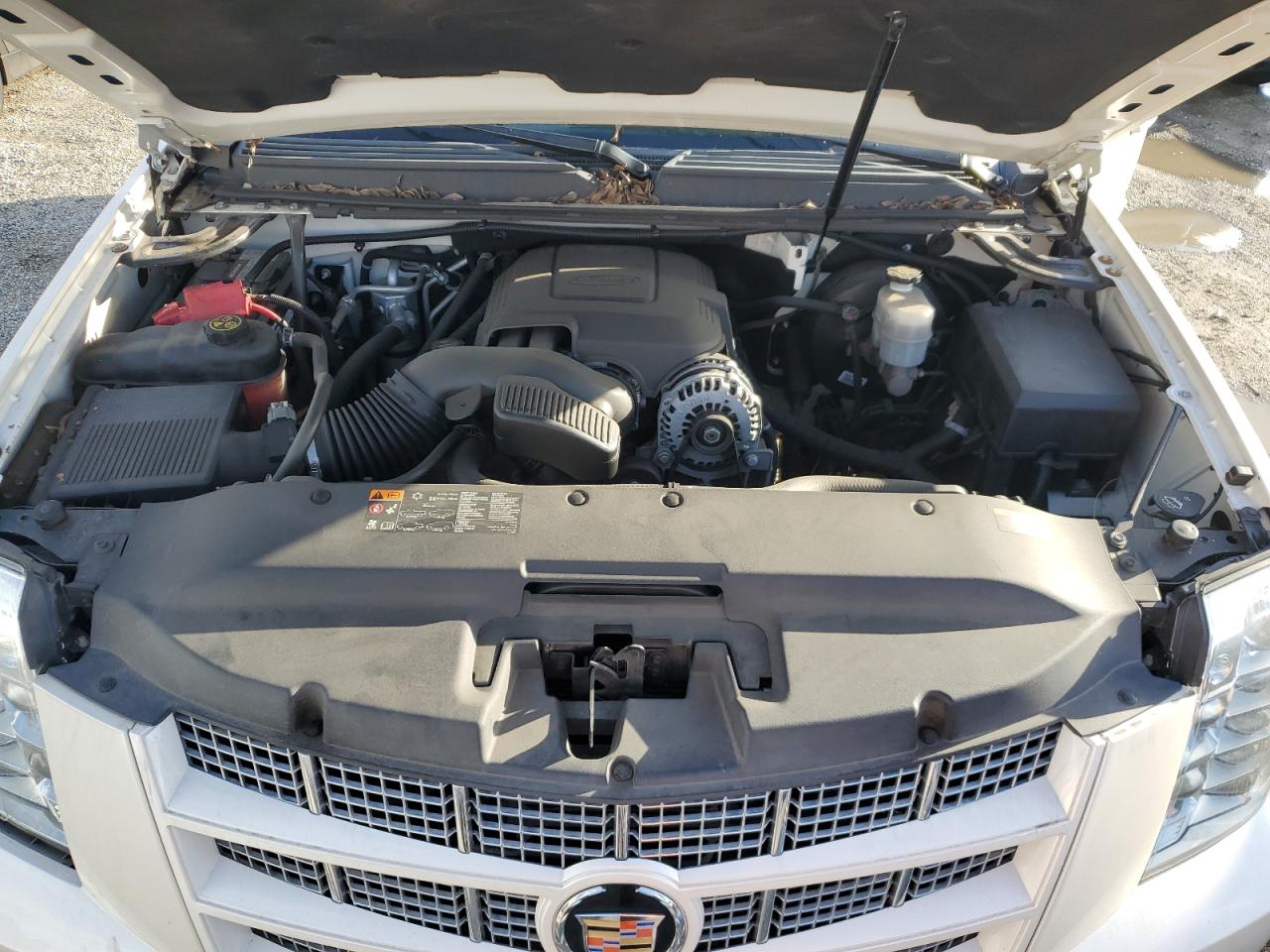 Photo 11 VIN: 1GYS4CEF9ER129959 - CADILLAC ESCALADE 