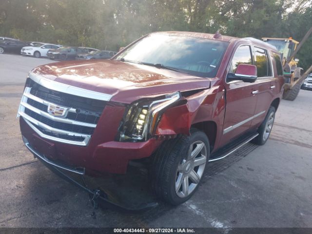 Photo 1 VIN: 1GYS4CKJ0KR229789 - CADILLAC ESCALADE 