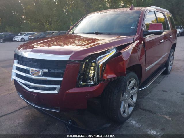 Photo 5 VIN: 1GYS4CKJ0KR229789 - CADILLAC ESCALADE 