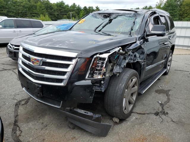 Photo 1 VIN: 1GYS4CKJ1GR436246 - CADILLAC ESCALADE P 