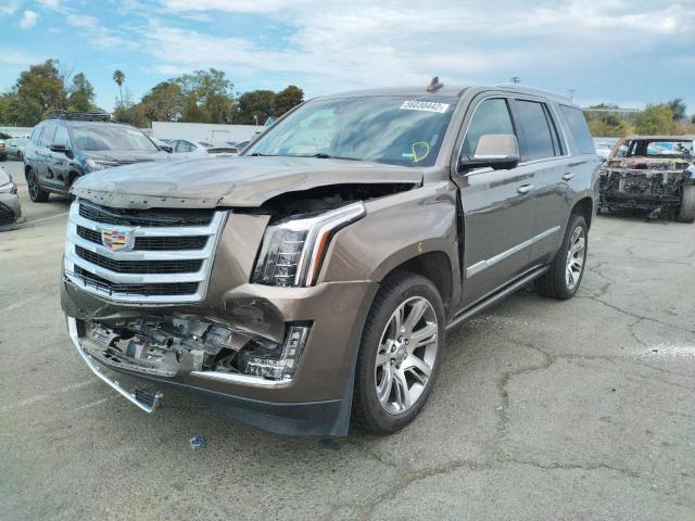 Photo 1 VIN: 1GYS4CKJ2GR370449 - CADILLAC ESCALADE P 