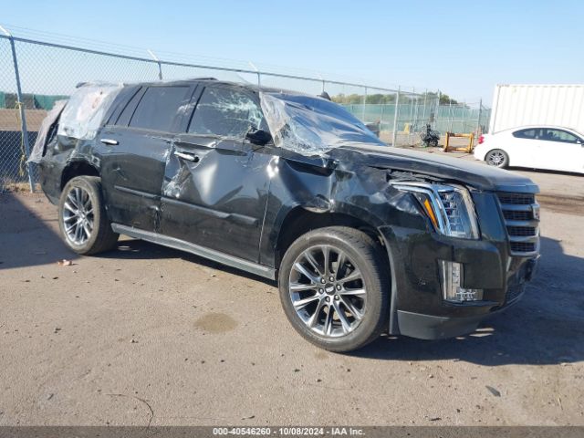 Photo 0 VIN: 1GYS4CKJ2LR166857 - CADILLAC ESCALADE 