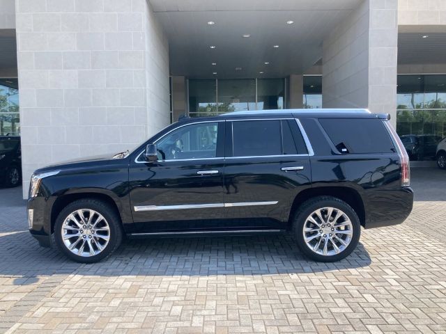 Photo 1 VIN: 1GYS4CKJ3LR216715 - CADILLAC ESCALADE 