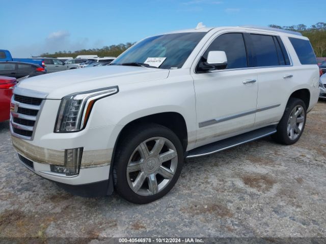 Photo 1 VIN: 1GYS4CKJ4LR261646 - CADILLAC ESCALADE 