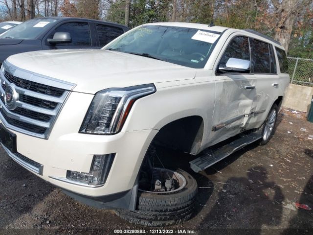 Photo 5 VIN: 1GYS4CKJ7FR161495 - CADILLAC ESCALADE 