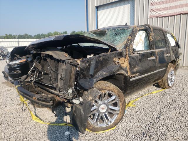 Photo 1 VIN: 1GYS4DEF1DR249050 - CADILLAC ESCALADE P 