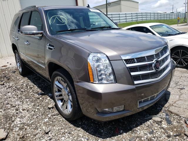 Photo 0 VIN: 1GYS4DEF3CR142628 - CADILLAC ESCALADE P 