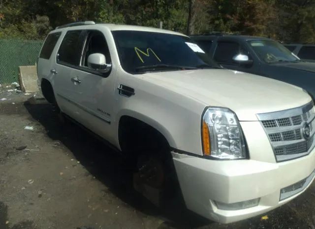 Photo 5 VIN: 1GYS4DEF3CR244382 - CADILLAC ESCALADE 