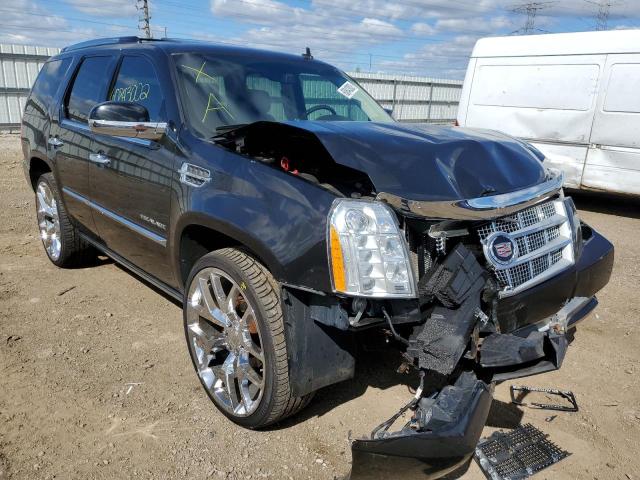 Photo 0 VIN: 1GYS4DEF9BR133706 - CADILLAC ESCALADE P 