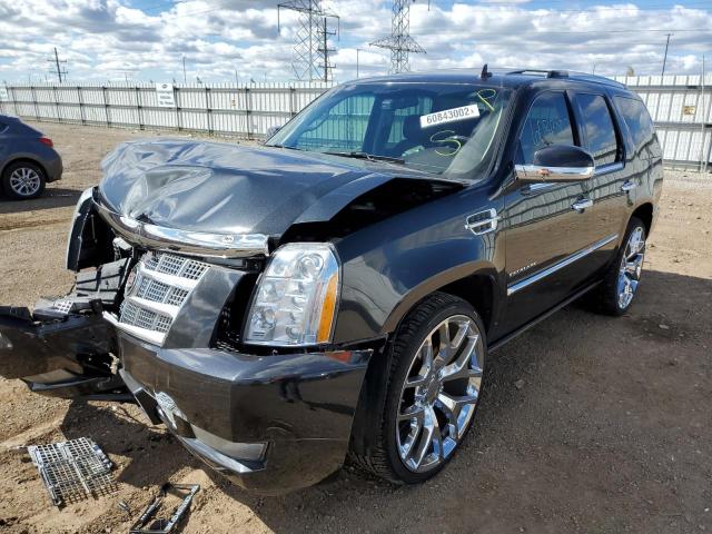 Photo 1 VIN: 1GYS4DEF9BR133706 - CADILLAC ESCALADE P 