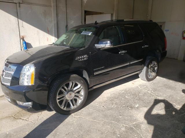 Photo 1 VIN: 1GYS4DEF9ER224530 - CADILLAC ESCALADE P 