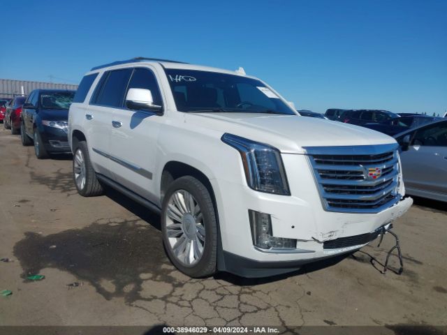 Photo 0 VIN: 1GYS4DKJ1GR334340 - CADILLAC ESCALADE 