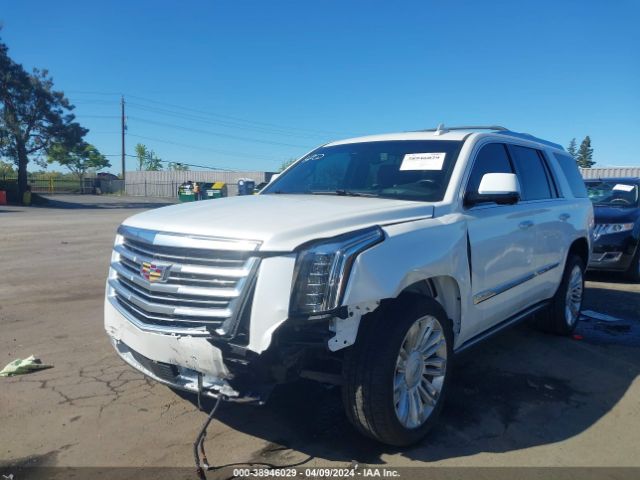 Photo 5 VIN: 1GYS4DKJ1GR334340 - CADILLAC ESCALADE 