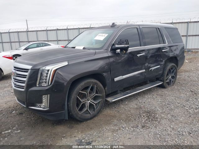 Photo 1 VIN: 1GYS4DKJ1GR363238 - CADILLAC ESCALADE 