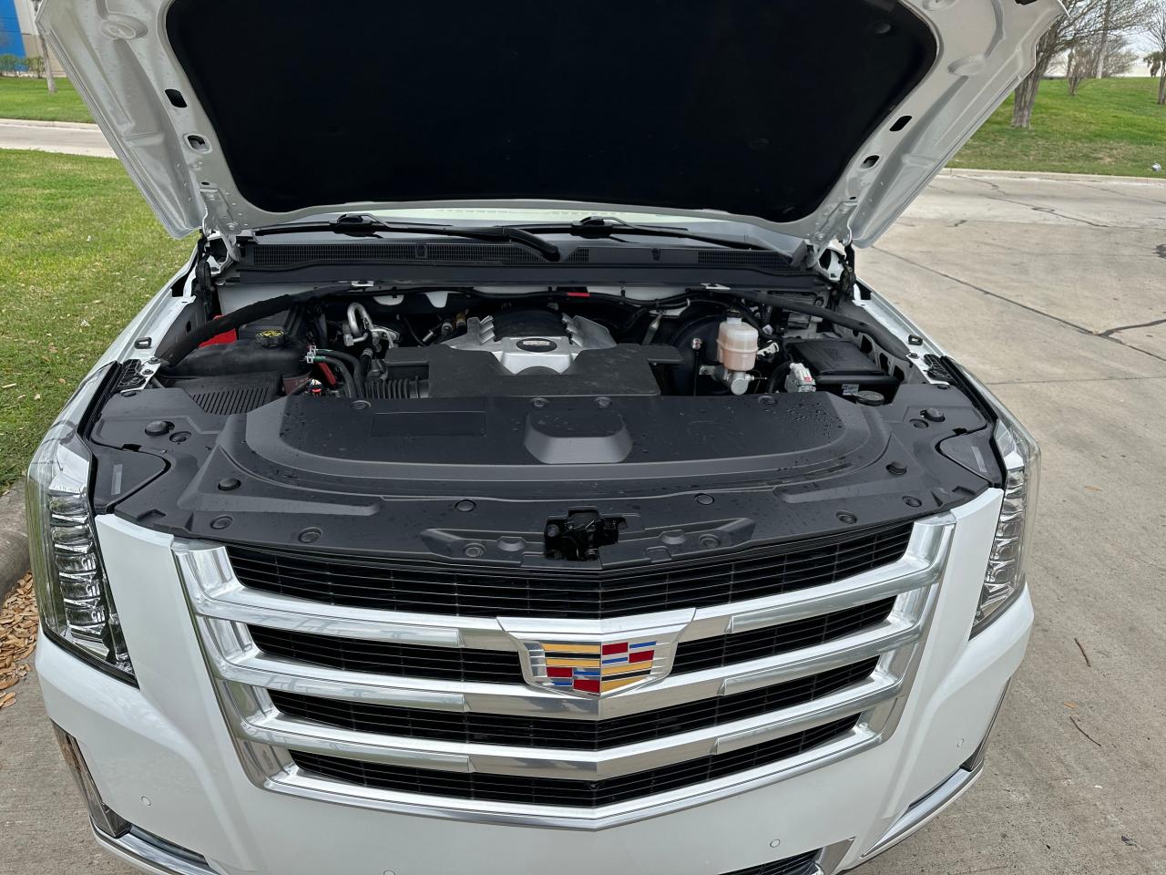 Photo 6 VIN: 1GYS4DKJ4LR285936 - CADILLAC ESCALADE 