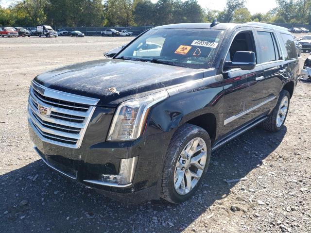 Photo 1 VIN: 1GYS4DKJ6GR254435 - CADILLAC ESCALADE P 