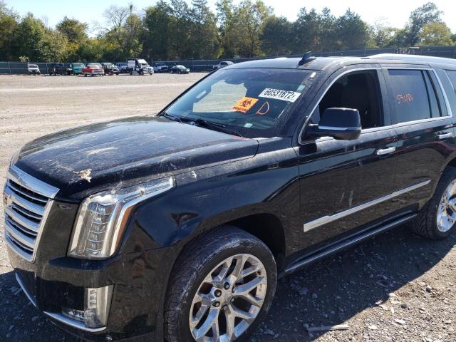 Photo 8 VIN: 1GYS4DKJ6GR254435 - CADILLAC ESCALADE P 