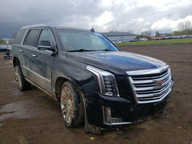 Photo 0 VIN: 1GYS4DKJ7GR216289 - CADILLAC ESCALADE 