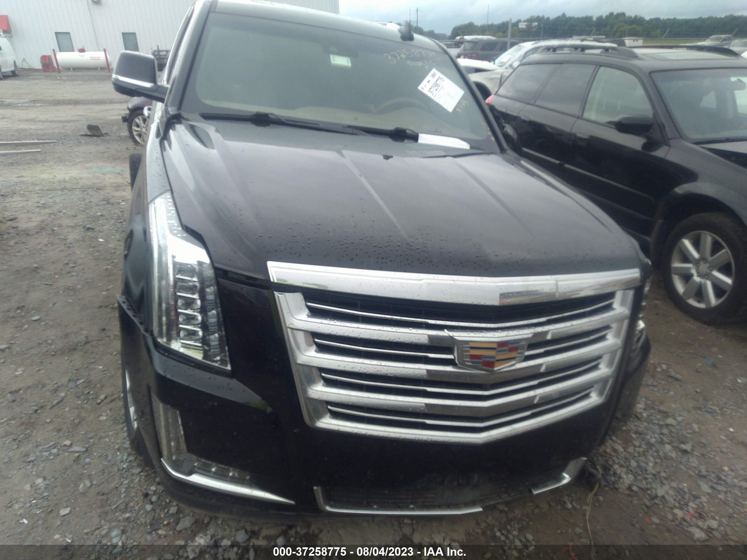 Photo 12 VIN: 1GYS4DKJ9KR138333 - CADILLAC ESCALADE 