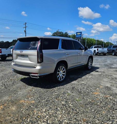 Photo 3 VIN: 1GYS4DKL6MR242198 - CADILLAC ESCALADE P 