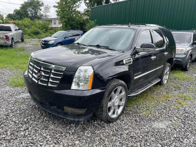 Photo 1 VIN: 1GYS4EEJ4DR107446 - CADILLAC ESCALADE 