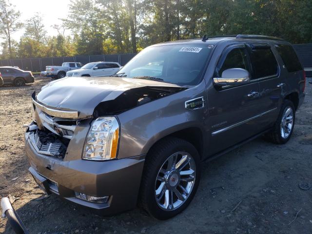 Photo 1 VIN: 1GYS4FEJ2CR248634 - CADILLAC ESCALADE P 