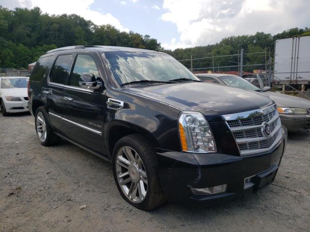 Photo 0 VIN: 1GYS4FEJ3BR279213 - CADILLAC ESCALADE P 