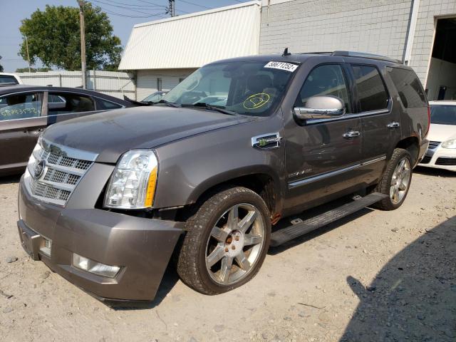 Photo 1 VIN: 1GYS4FEJ3BR322416 - CADILLAC ESCALADE P 