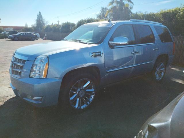 Photo 0 VIN: 1GYS4FEJ7BR258171 - CADILLAC ESCALADE P 