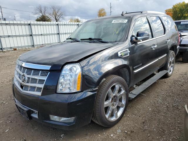 Photo 1 VIN: 1GYS4FEJ9BR122821 - CADILLAC ESCALADE P 