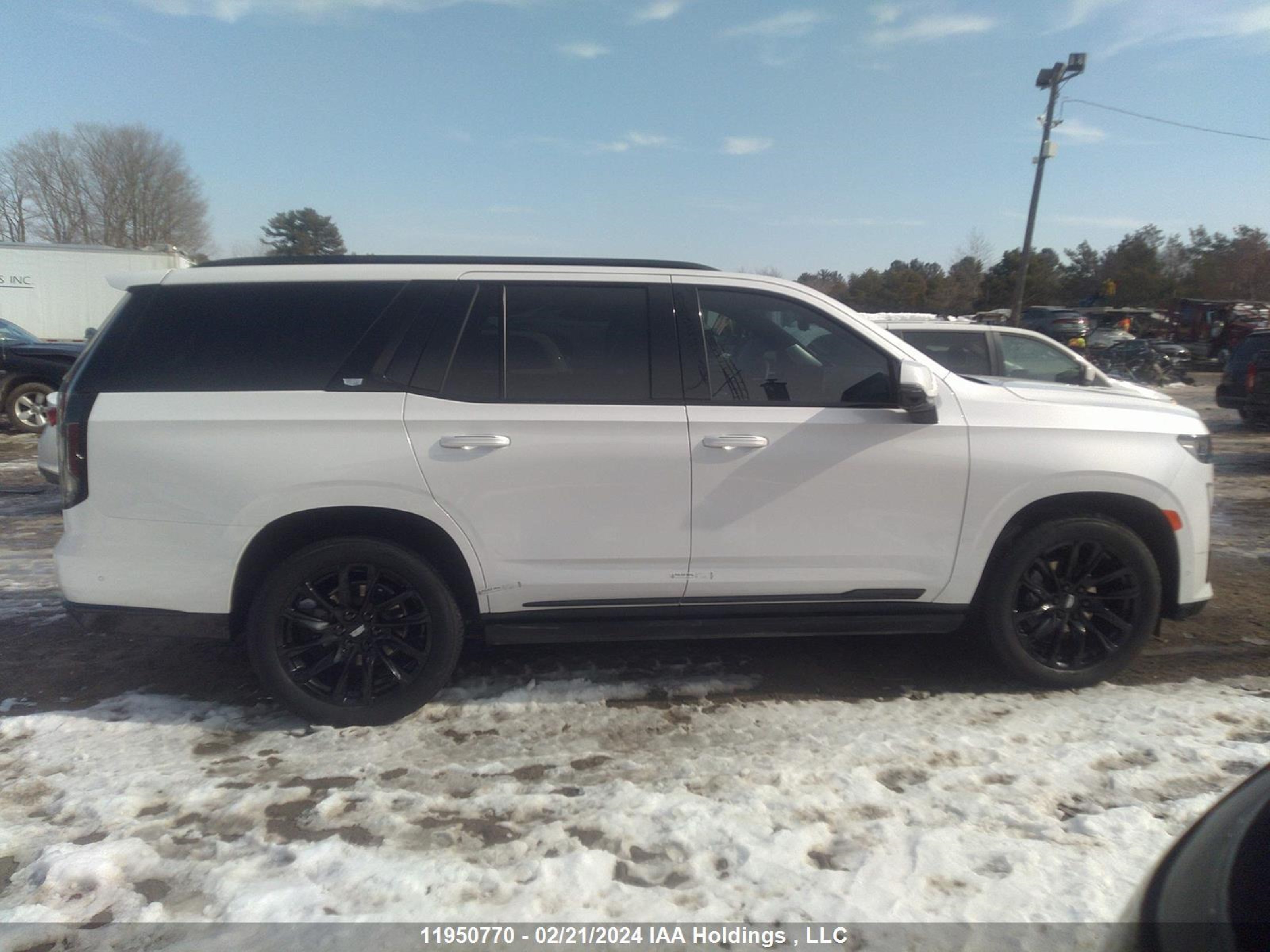 Photo 12 VIN: 1GYS4GKL4PR401113 - CADILLAC ESCALADE 