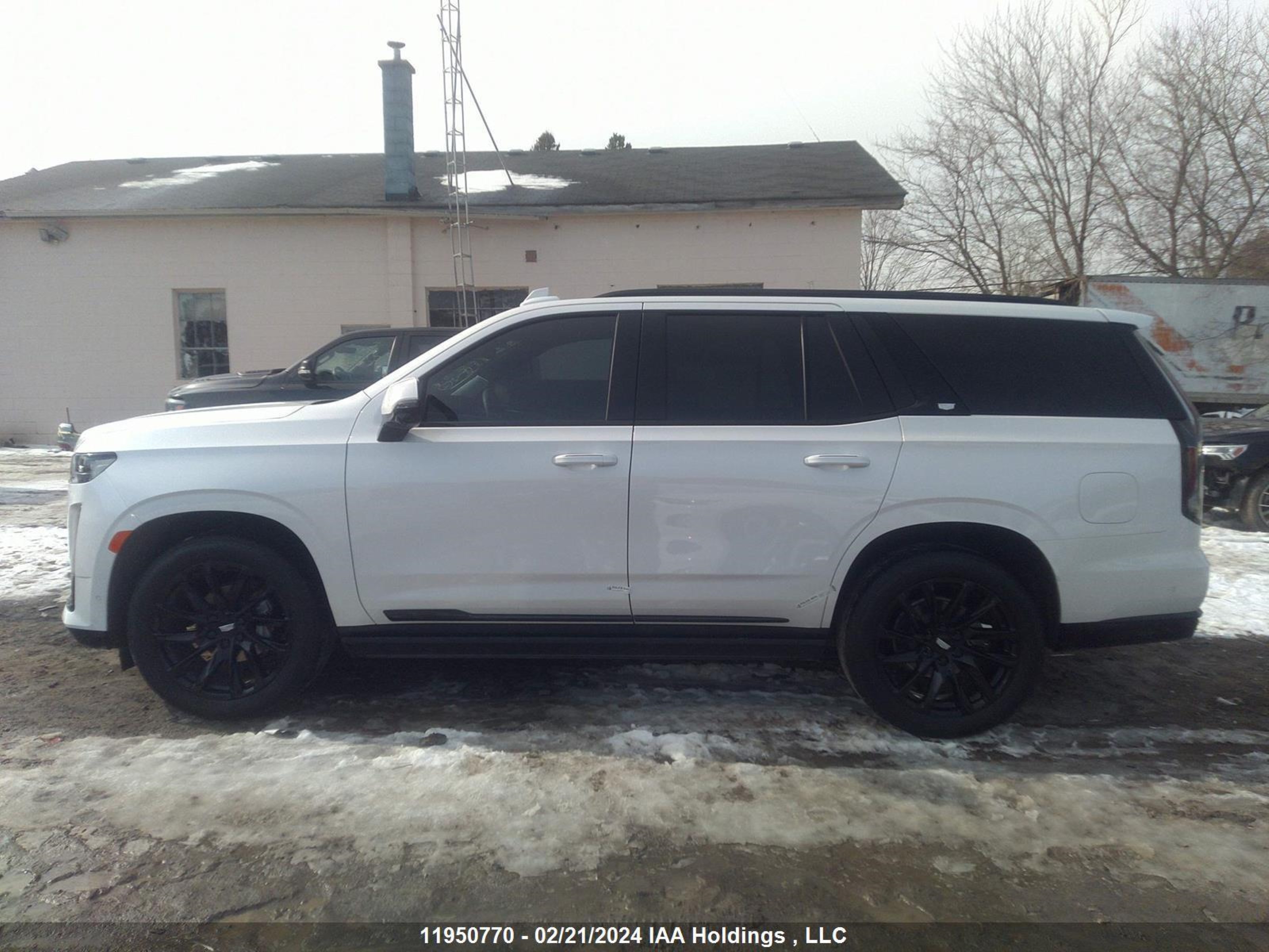 Photo 13 VIN: 1GYS4GKL4PR401113 - CADILLAC ESCALADE 