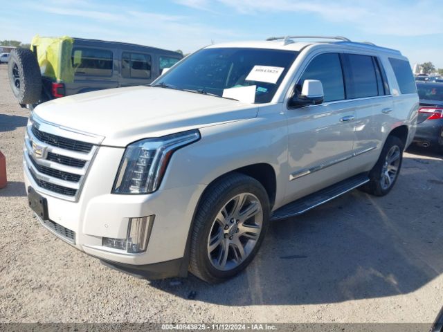 Photo 1 VIN: 1GYS4MKJ5FR652377 - CADILLAC ESCALADE 